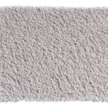 Bold Indulgence carpet - 093